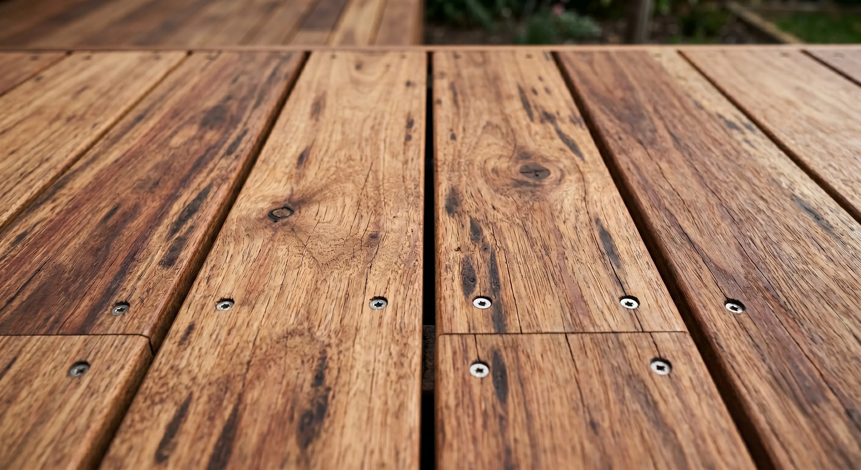 A close-up of a freshly oiled spotted gum deck showing rich timber grain and stainless fixings