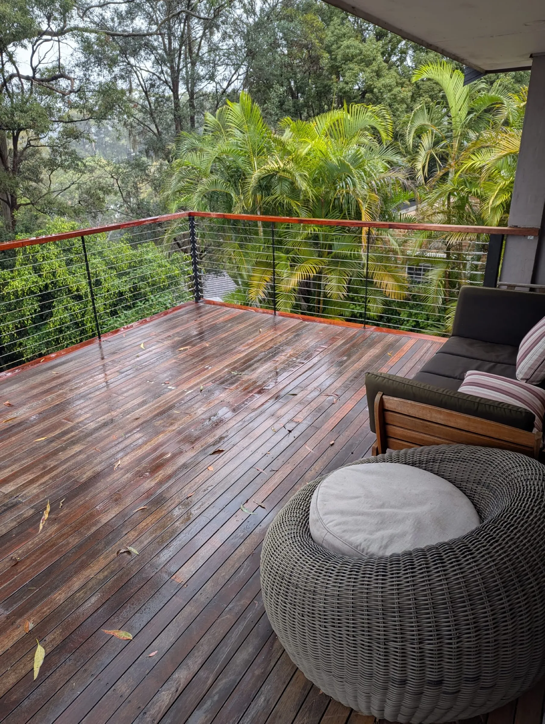 A restored merbau deck with a stainless cable balustrade and bushland view